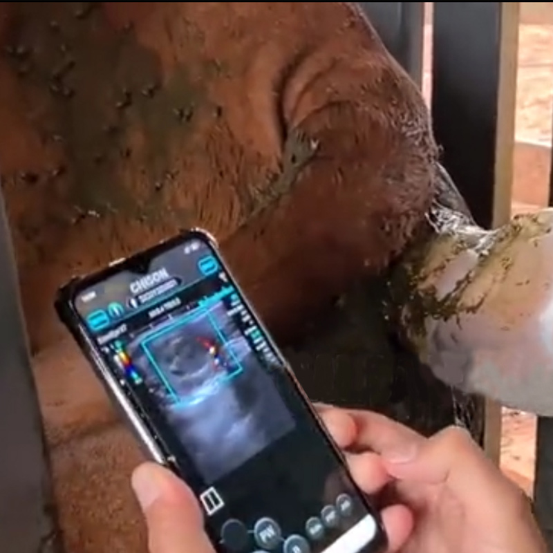 SonoEye P7 知道